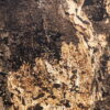 Kamenná dýha Autumn Rustic 122x61x0,2 cm Transparentný