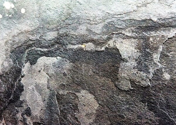 4749 Kamenná dýha Autumn Rustic 122x244x0,2 cm