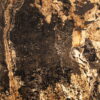 Kamenná dýha Autumn Rustic 122x244x0,2 cm Transparentný