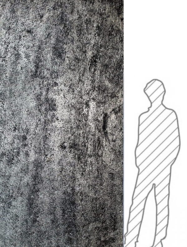 5739 Kamenná dýha Silver Grey 305x122x0,2 cm