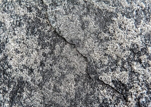 5742 Kamenná dýha Silver Grey 305x122x0,2 cm