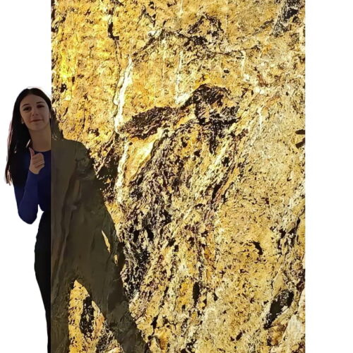 Kamenná dýha Burning Forest 244x122x0,2 cm Transparentný